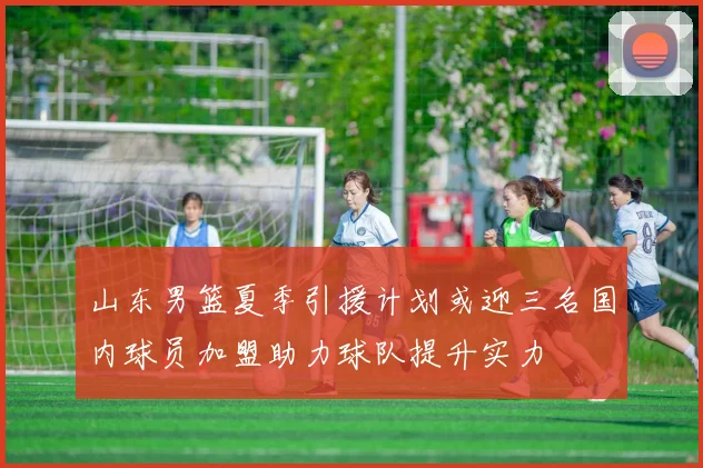 山东男篮夏季引援计划或迎三名国内球员加盟助力球队提升实力
