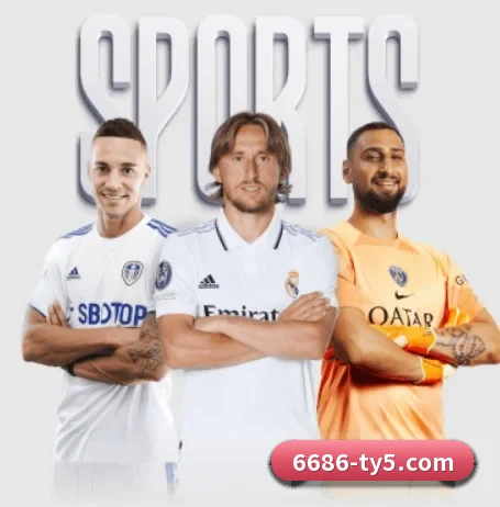 6686体育 APP